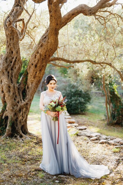 A bride with a wedding bouquet stands under the beautiful olive tree in the olive grove