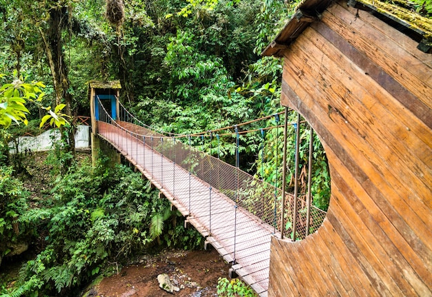 페루 옥사팜파 정글에 있는 리오 티그레 폭포를 가로지르는 다리