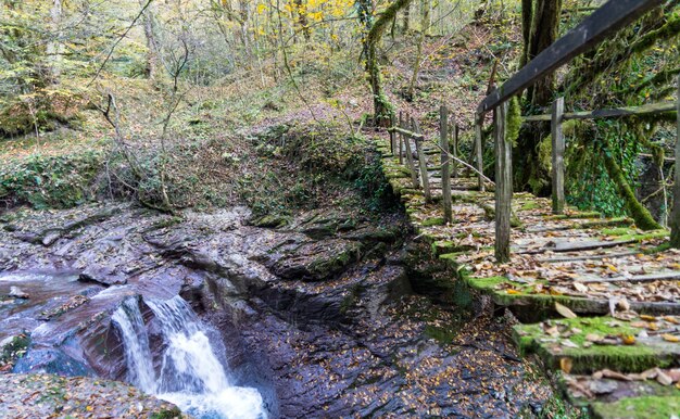 Bridge across the river, Hiking in forest of Sochi, Russia.