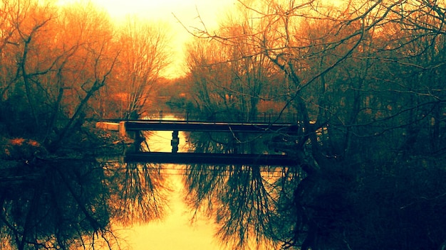 Bridge across a river