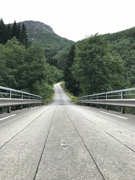 Foto ponte contro le montagne