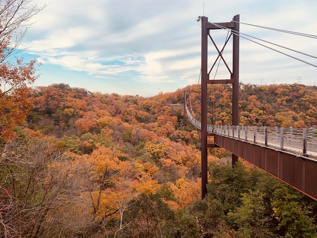 Foto ponte contro il cielo durante l'autunno