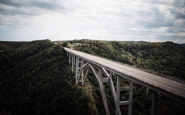 空に向かう橋