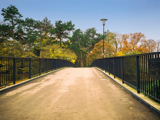 Photo bridge in autumn