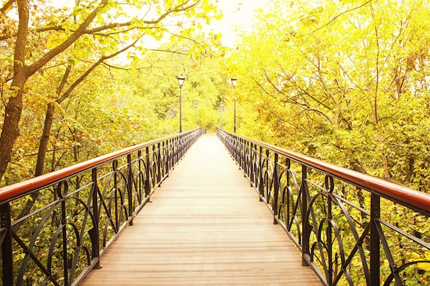 Bridge in beautiful autumn park