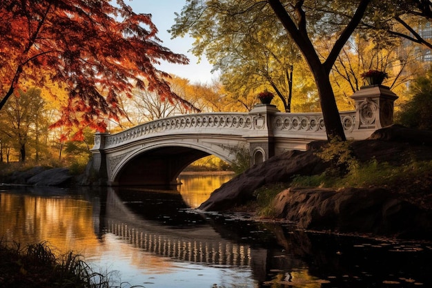 a bridge over a body of water surrounded by trees