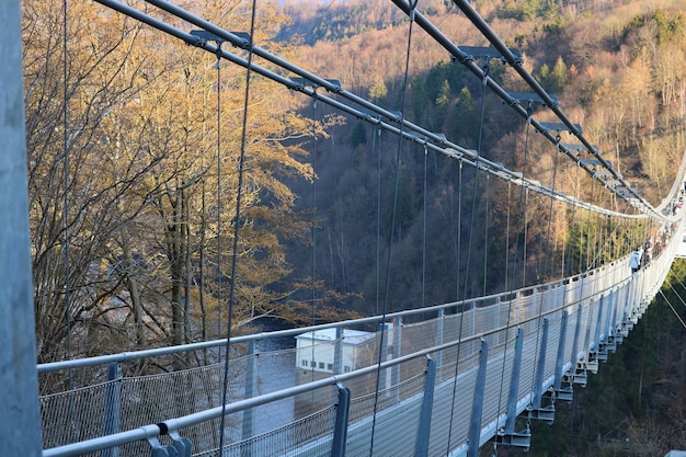 写真 秋の森の木の横にある橋