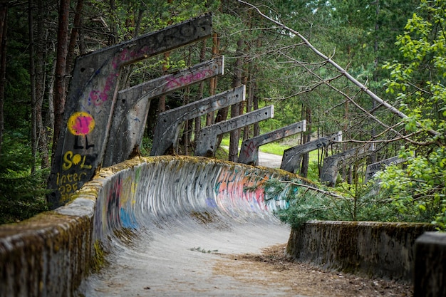 Bridge over canal amidst trees