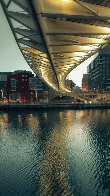 Bridge on the city