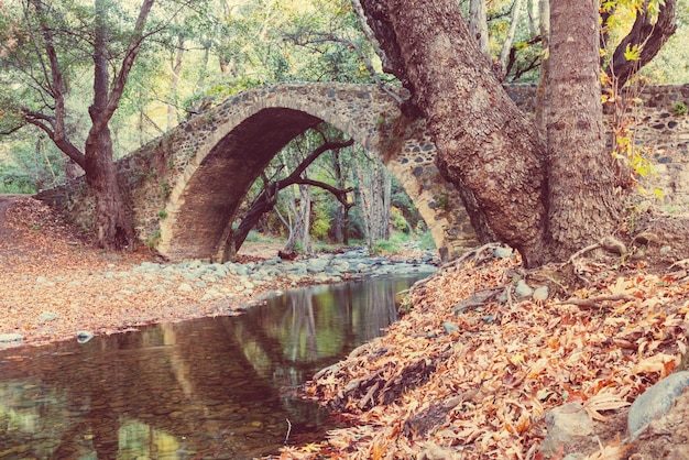 Photo bridge on cyprus