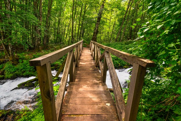 Bridge and fast river