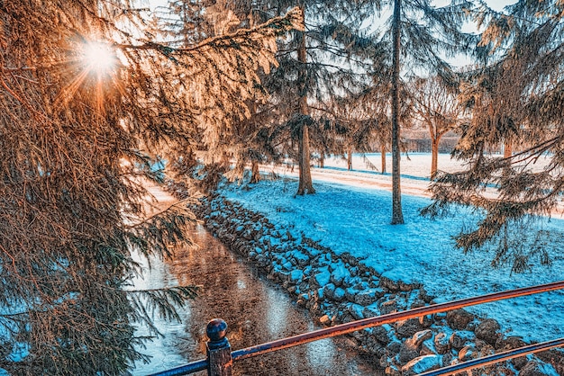 Tsarskoye Selo(푸쉬킨)의 Catherine 공원에 있는 물고기 채널 위의 다리. 상트 페테르부르크. 러시아.