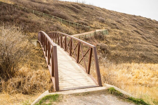 Bridge on footpath in country landscape