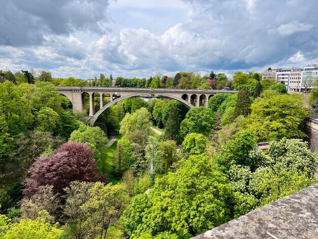 A bridge in a forest with a bridge in the background