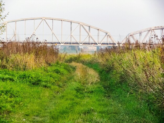 Foto ponte sull'erba contro un cielo limpido