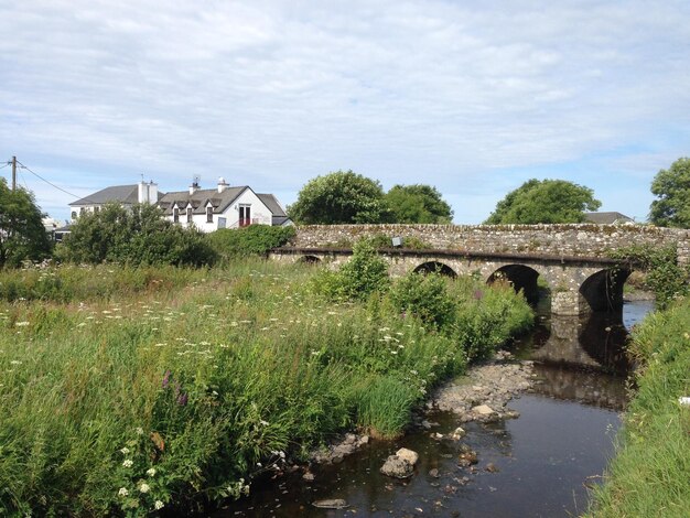 Photo bridge over grass against sky