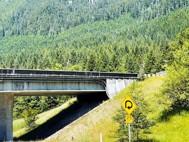 A bridge over I90