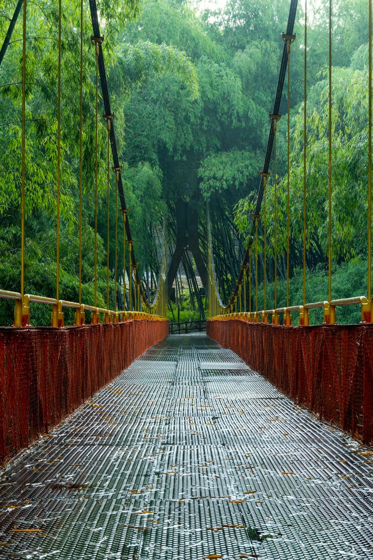 Bridge inside tropical rainforest in Parque del Cafe Quindio department Armenia city Colombia