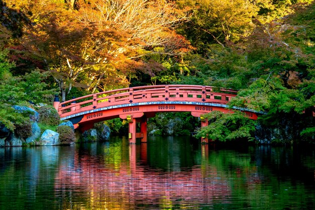 Photo bridge over lake against trees during autumn