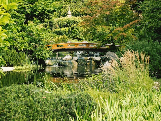 Bridge over lake against trees