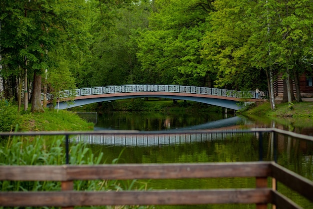 Bridge over lake against trees