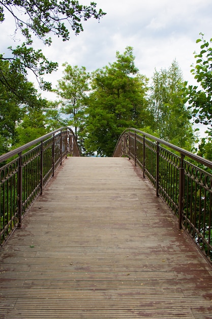 Ponte sul lago nel parco