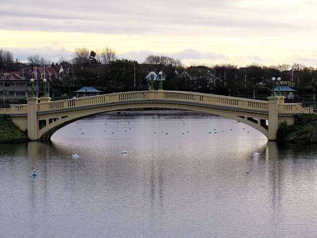 白鳥と鴨を持つ湖の上の橋