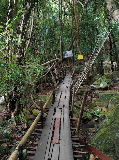 A bridge made of boards and ropes. Hiking trail for tourists in the jungle forest.