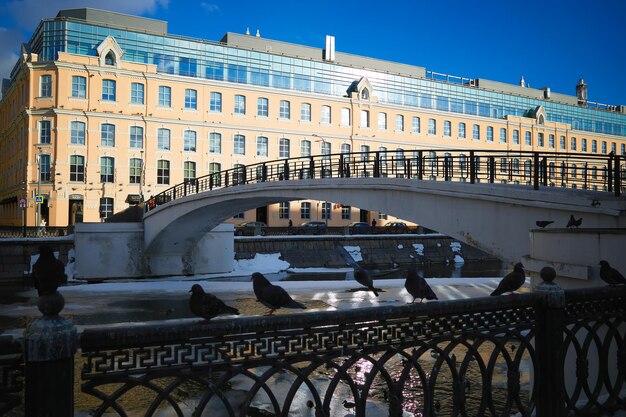 Ponte sul canale fluviale di mosca