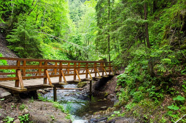 Bridge over a mountain river in the Carpathians