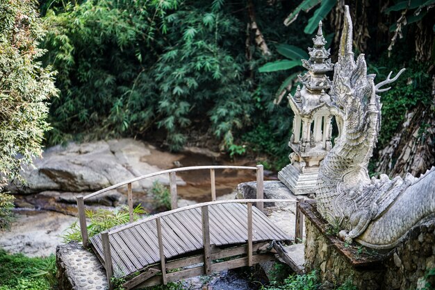 The bridge in to Naga or dragon stairs leading to a footbridge in a tropical forest focus 