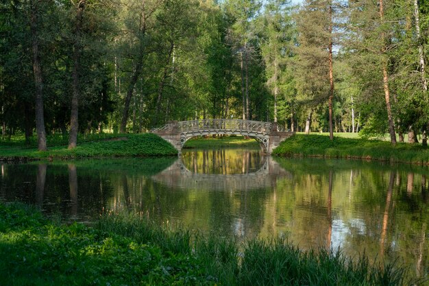 Мост у Белого озера в Гатчинском парке солнечным летним утром Санкт-Петербург Россия
