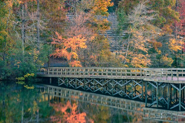 写真 秋に川を渡る橋