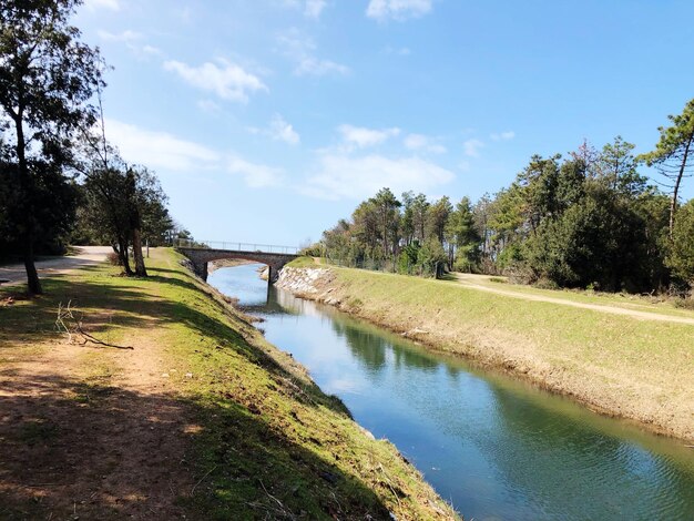 Bridge over river against sky