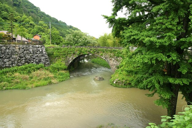 Foto ponte sul fiume contro il cielo