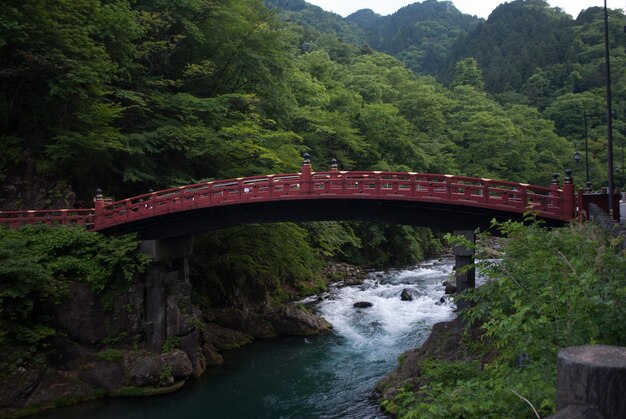 Photo bridge over river against trees in forest