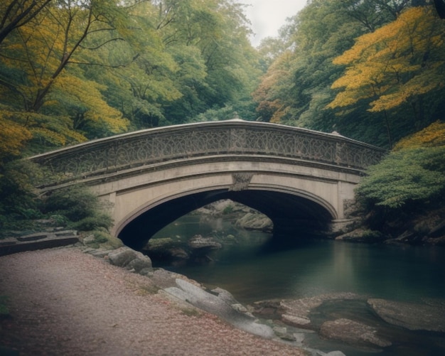 bridge over the river in autumn