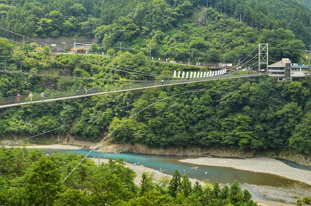 Bridge over river in forest