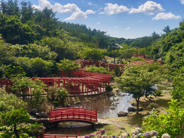 Photo bridge over river in public park