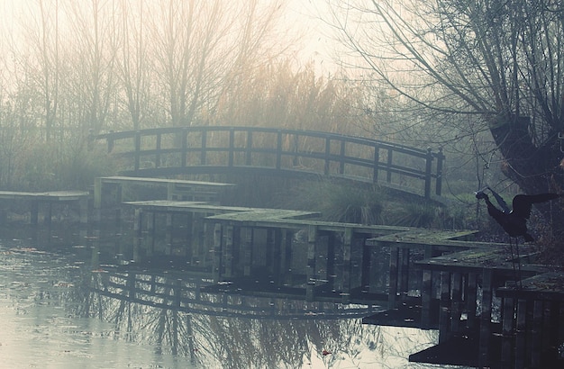 Bridge over river during winter
