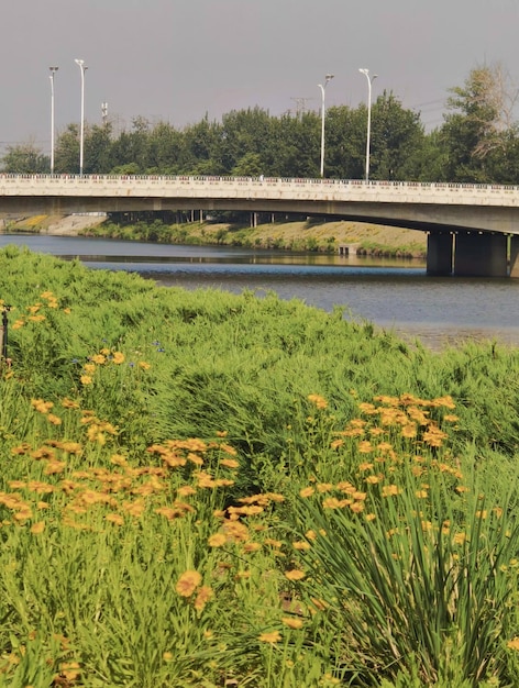 A bridge over a river with flowers on it