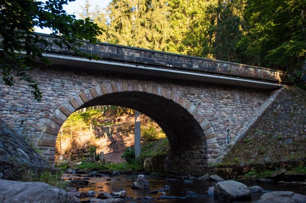 a bridge over a river with trees in the background