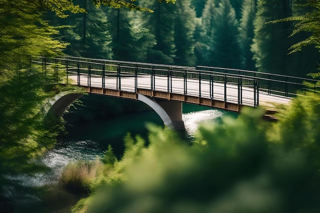 背景に木がある川を越えた橋