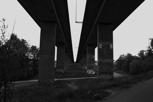 Foto ponte sul fiume