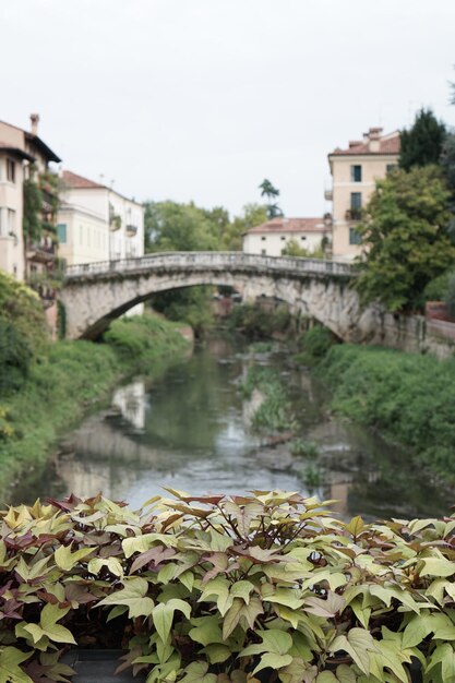 Photo bridge over river