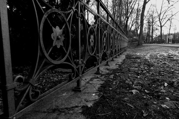 Photo bridge over river