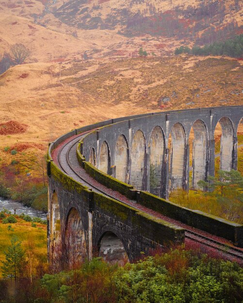 Photo bridge over river