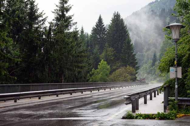 Bridge over road by trees against mountain