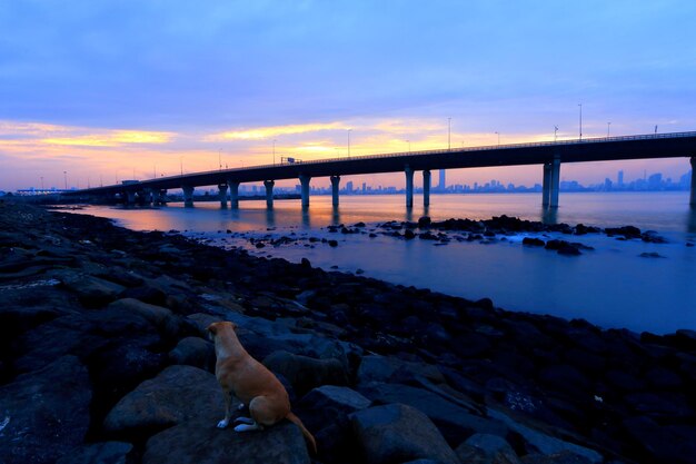 Мост над морем против неба во время захода солнца