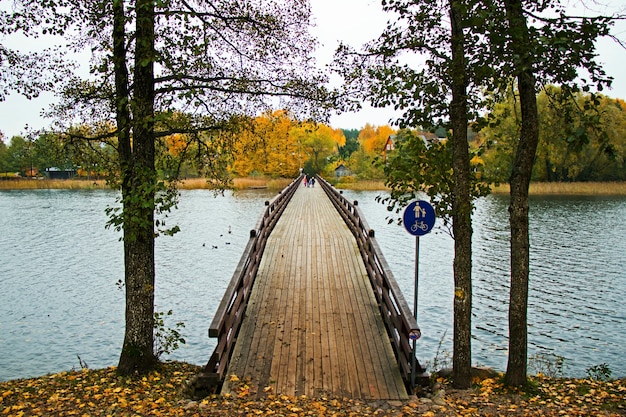 Bridge an sing in the park